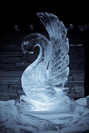 Wedding Ice Sculptures - Orange County Wedding Photographer